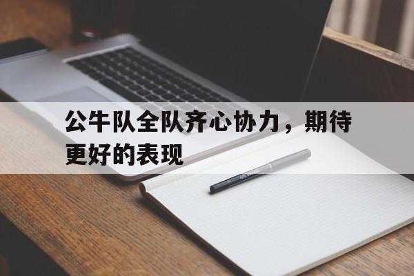 爱游戏中国官网-公牛队全队齐心协力，期待更好的表现的简单介绍