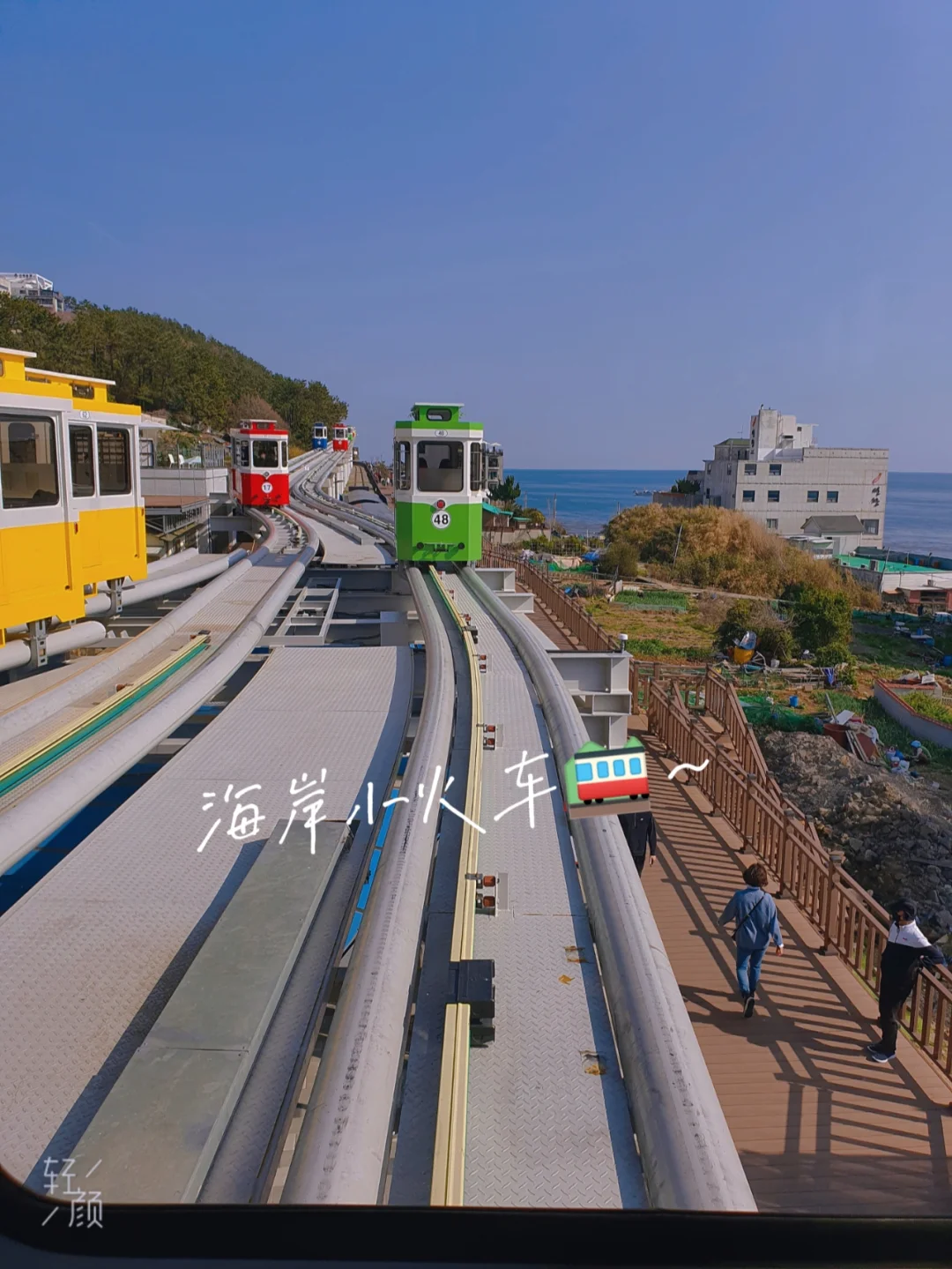 包含韩国釜山因伤退出亚冠赛场，悲伤告终的词条