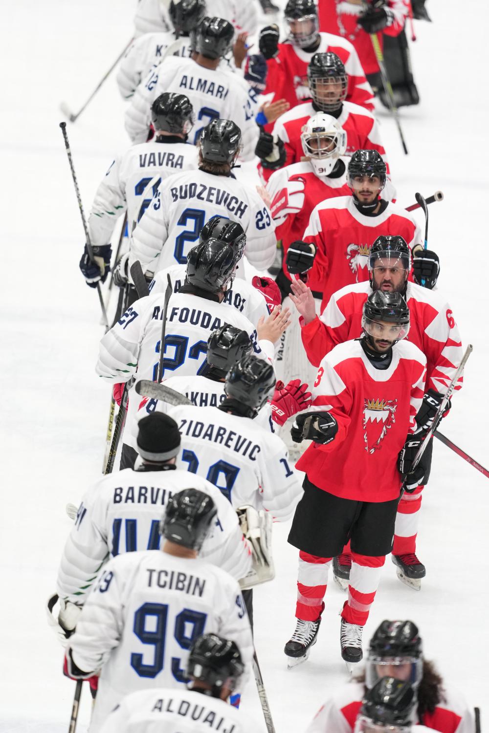 爱游戏app-德国击败挪威队抢得冰球冠军