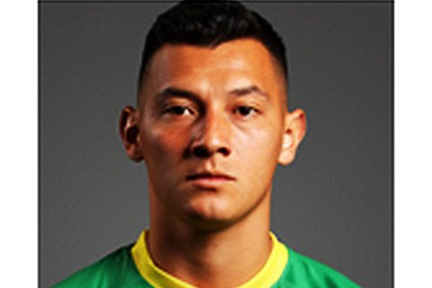 爱游戏体育官网-哥伦比亚中场门多萨入选年度最佳阵容，成为焦点的简单介绍