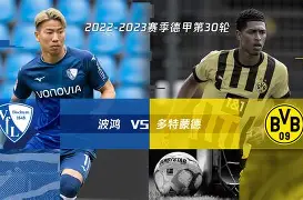 达姆施塔特俱乐部青训成绩斐然未来可期