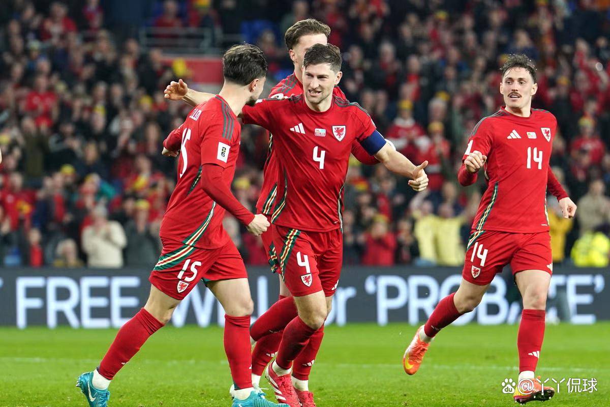 爱游戏官网-威尔士队在比赛中取得关键胜利！